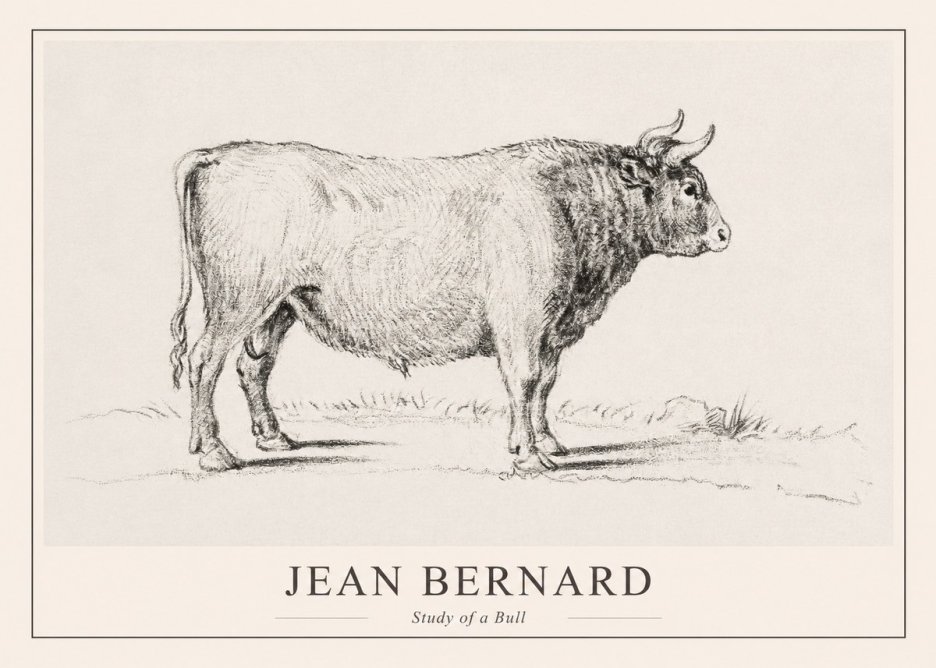Jean Bernard Study of a Bull I No1 - Juliste