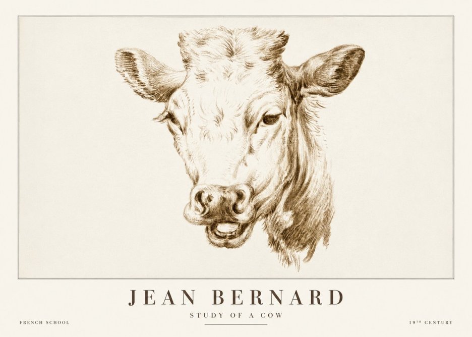 Jean Bernard Study of a Cow IV No2 - Juliste