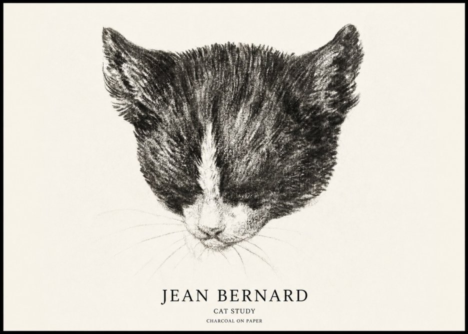 Jean Bernard Cat Study V No1 - Juliste