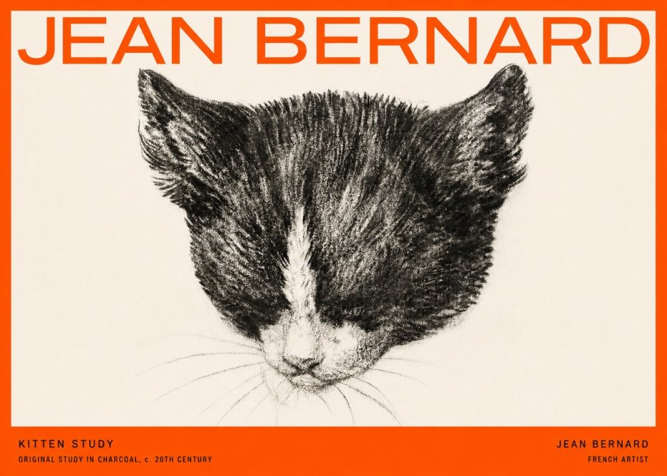 Jean Bernard Cat Study V No5 - Juliste