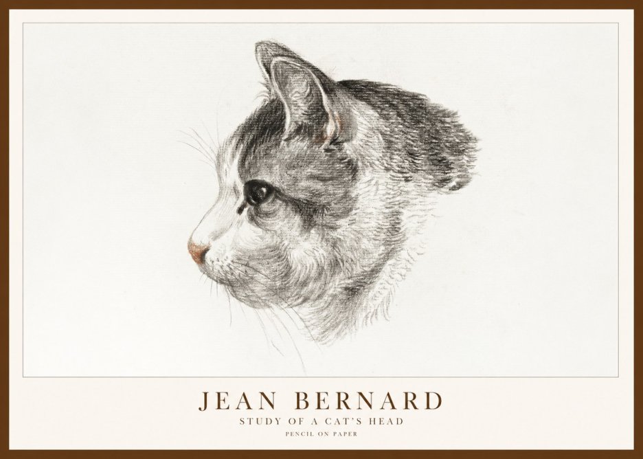 Jean Bernard Cat Study, Profile No2 - Juliste