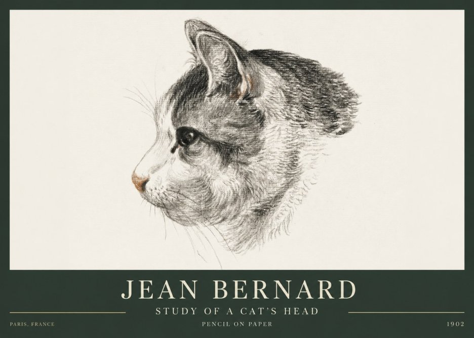 Jean Bernard Cat Study, Profile No4 - Juliste