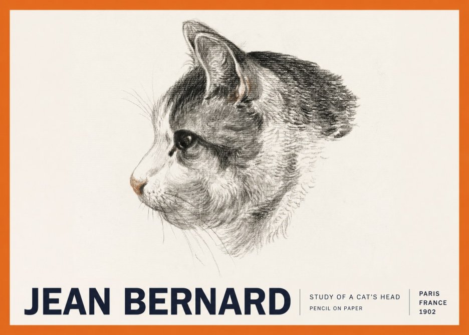 Jean Bernard Cat Study, Profile No6 - Juliste