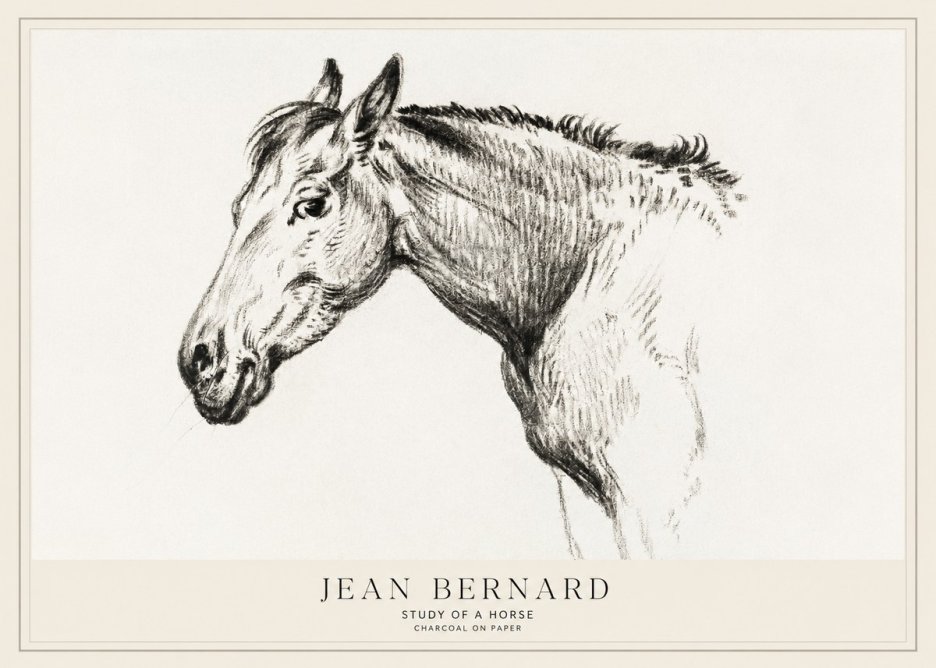 Jean Bernard Study of a Horse VI No1 - Juliste