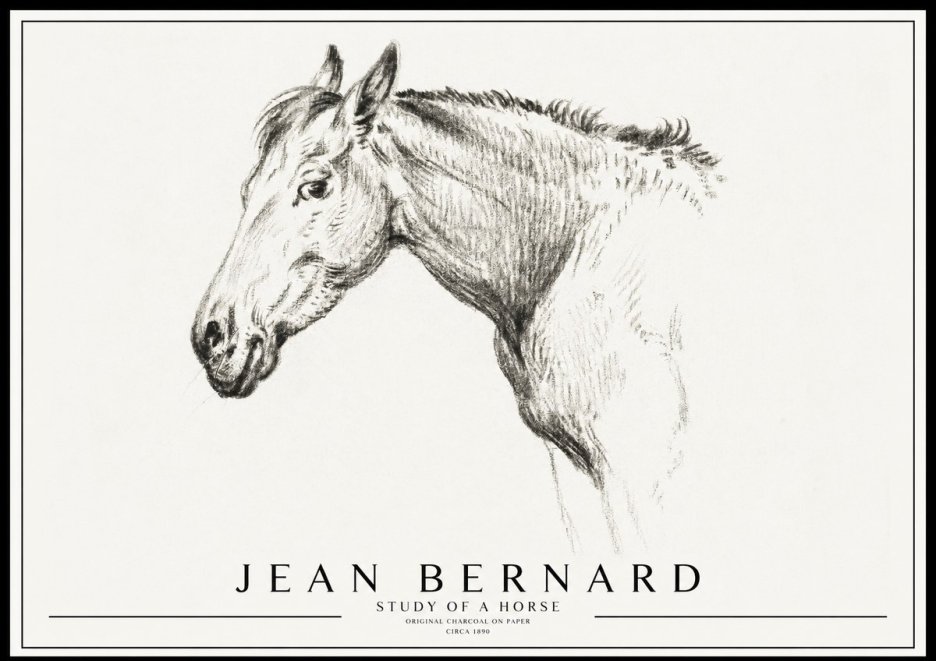 Jean Bernard Study of a Horse VI No3 - Juliste