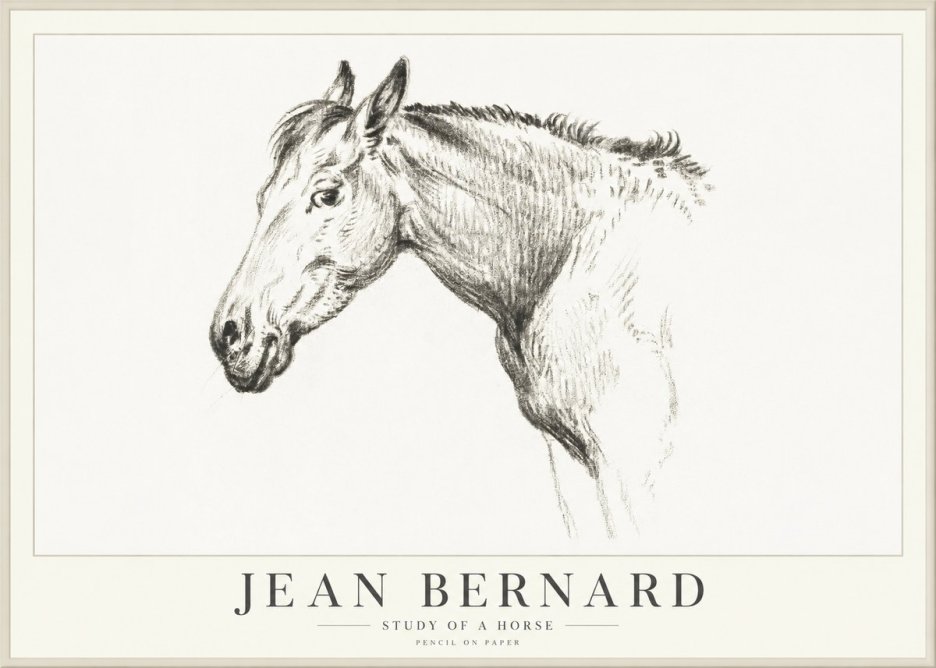 Jean Bernard Study of a Horse VI No4 - Juliste