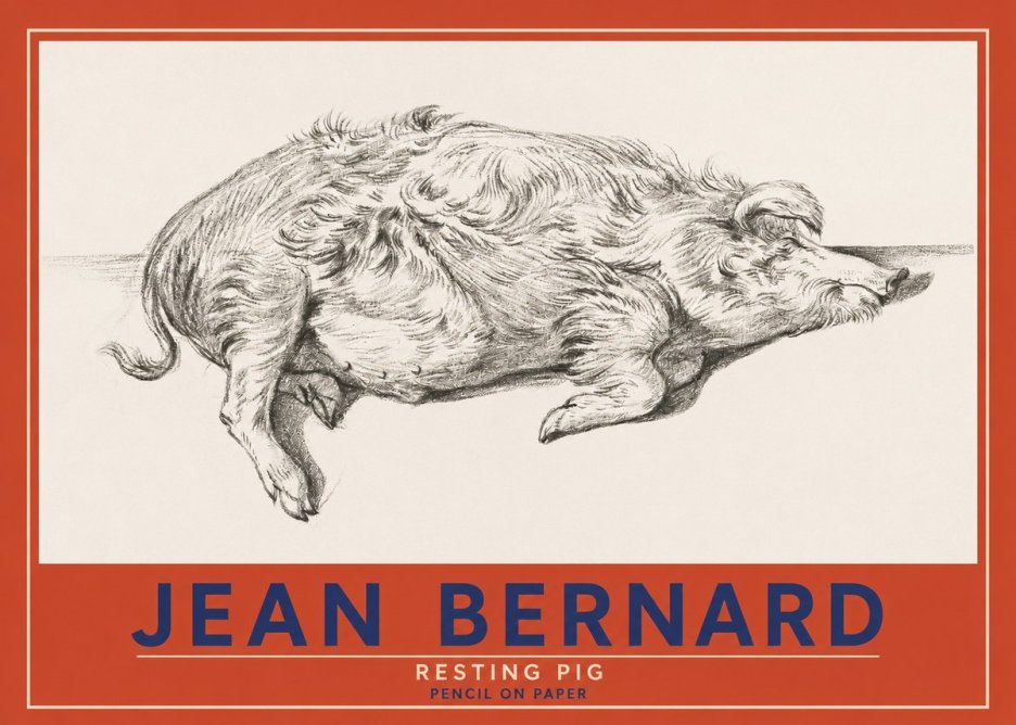 Jean Bernard Study of a Pig I No4 - Juliste