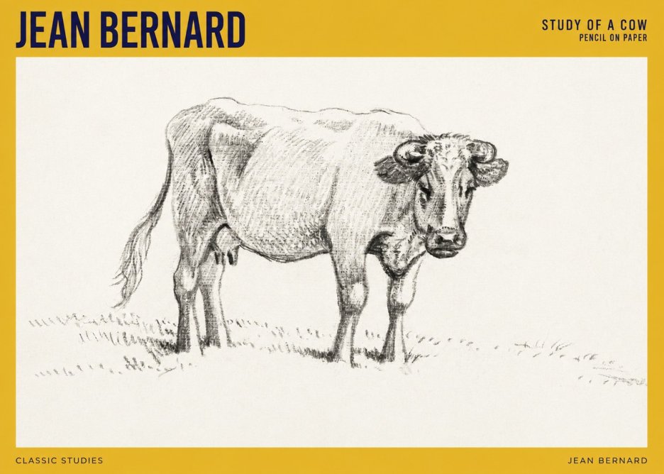 Jean Bernard Study of a Cow V No4 - Juliste