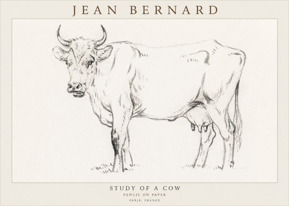 Jean Bernard Study of a Cow VI No3 - Juliste
