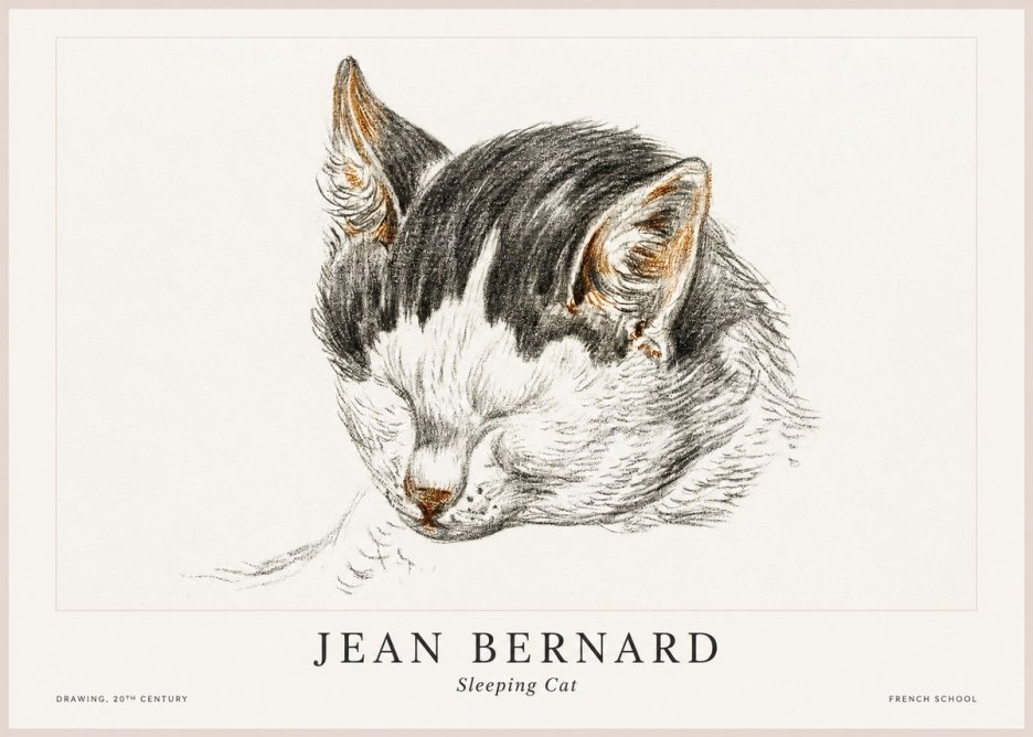 Jean Bernard Sleeping Cat V No1 - Juliste