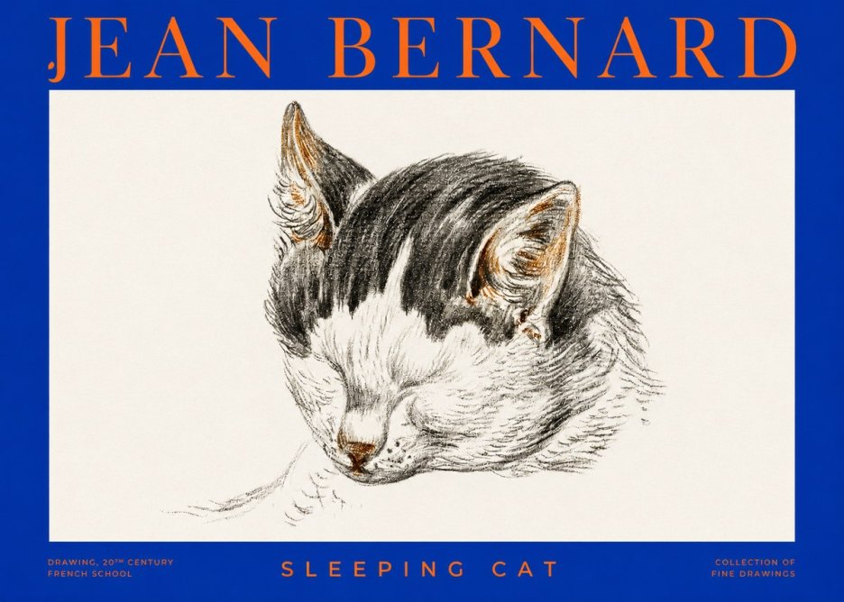 Jean Bernard Sleeping Cat V No2 - Juliste