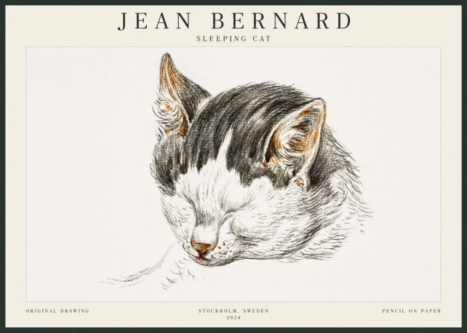 Jean Bernard Sleeping Cat V No3 - Juliste