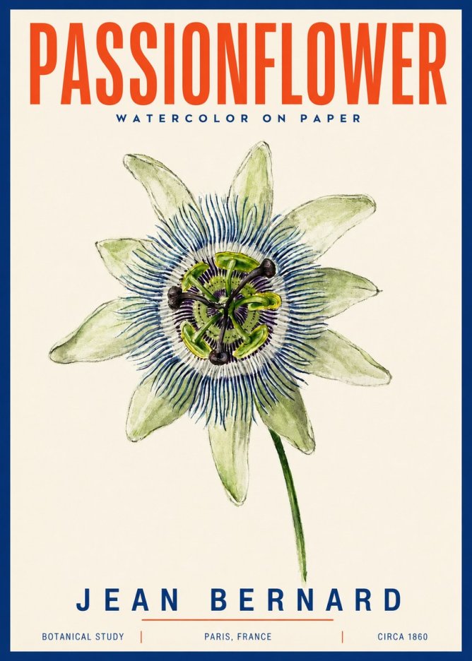 Jean Bernard Passionflower No4 - Juliste