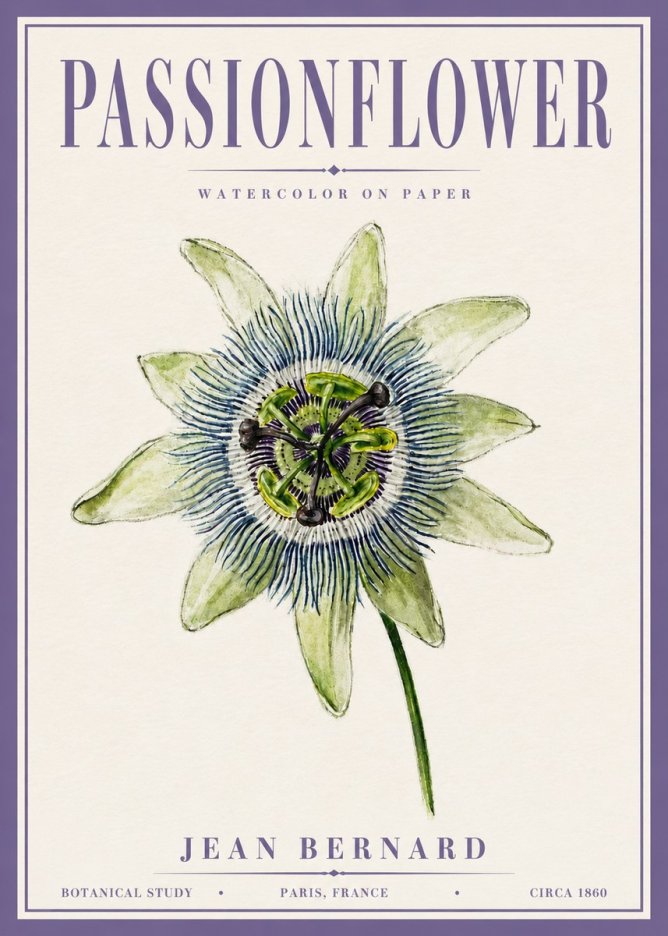 Jean Bernard Passionflower No6 - Juliste