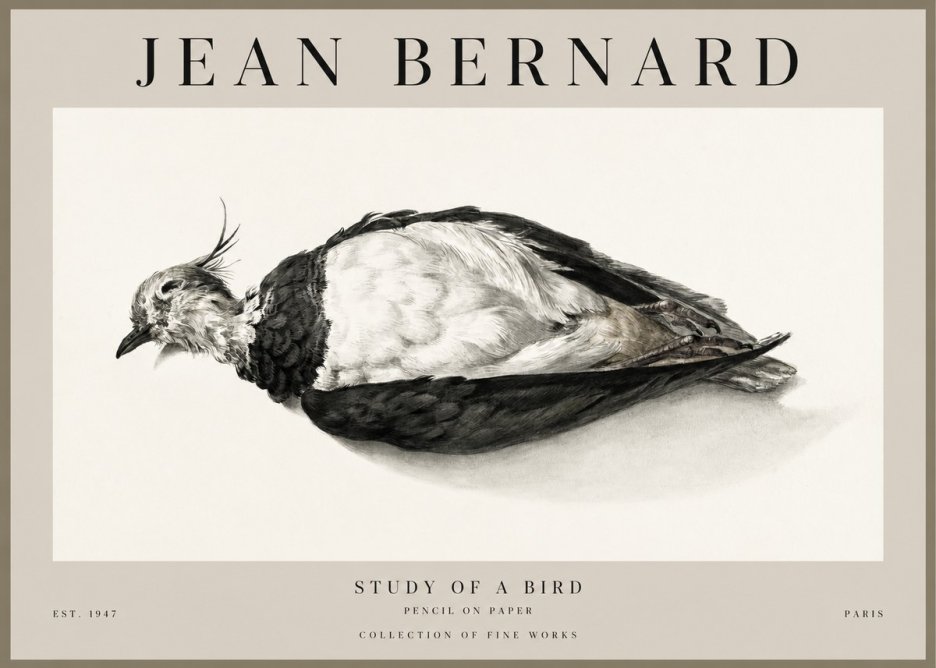 Jean Bernard Study of a Bird II No1 - Juliste
