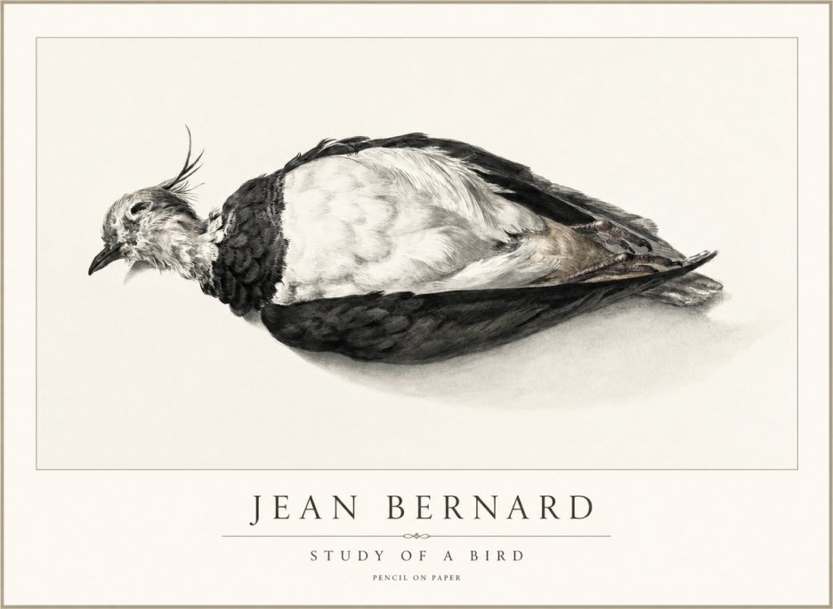 Jean Bernard Study of a Bird II No2 - Juliste