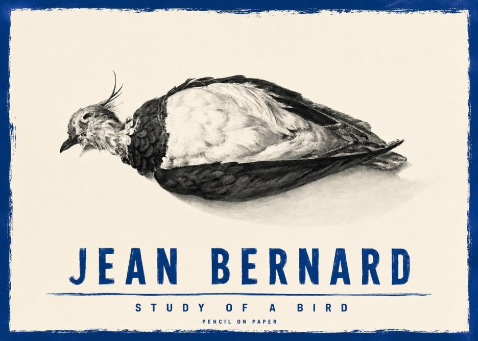 Jean Bernard Study of a Bird II No4 - Juliste