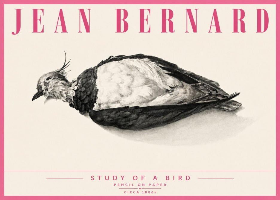Jean Bernard Study of a Bird II No6 - Juliste