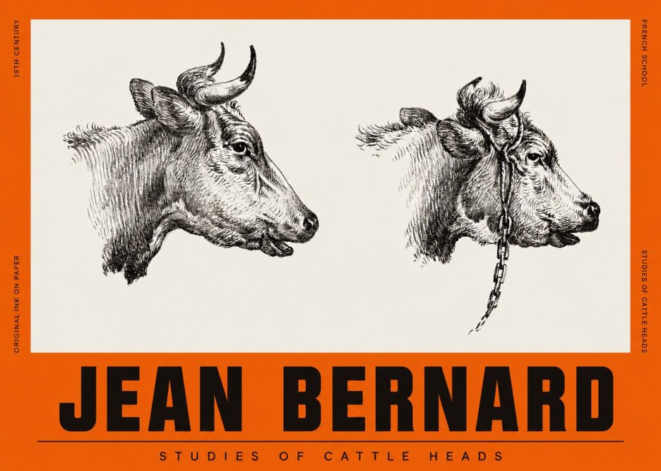 Jean Bernard Studies of Cattle Heads No2 - Juliste