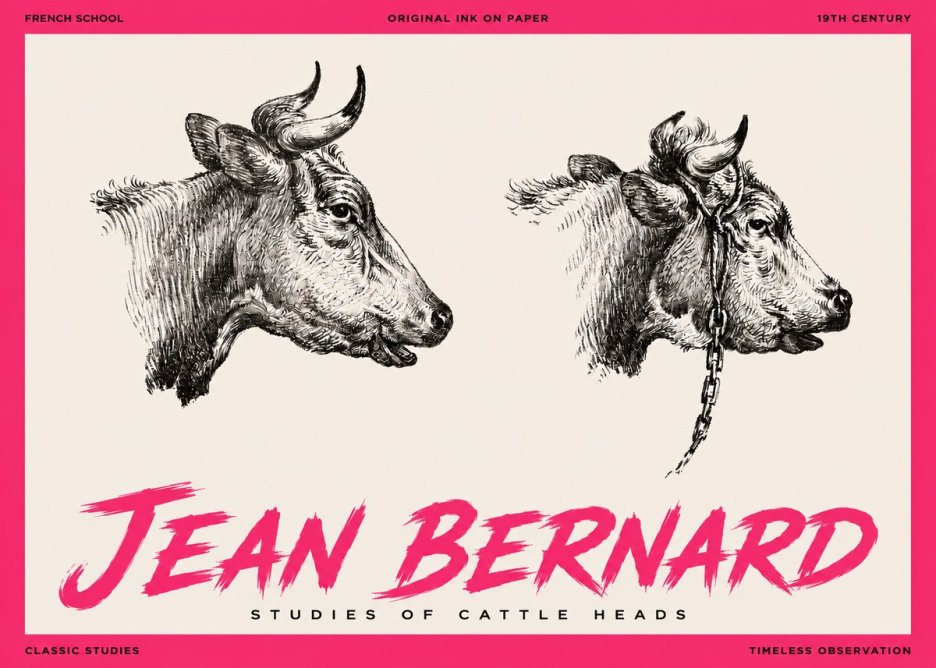 Jean Bernard Studies of Cattle Heads No3 - Juliste