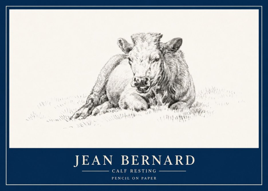 Jean Bernard Calf Resting No3 - Juliste
