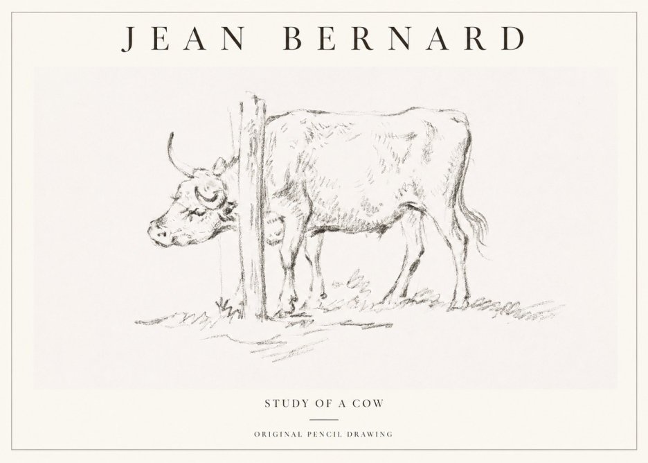 Jean Bernard Study of a Cow VII No1 - Juliste