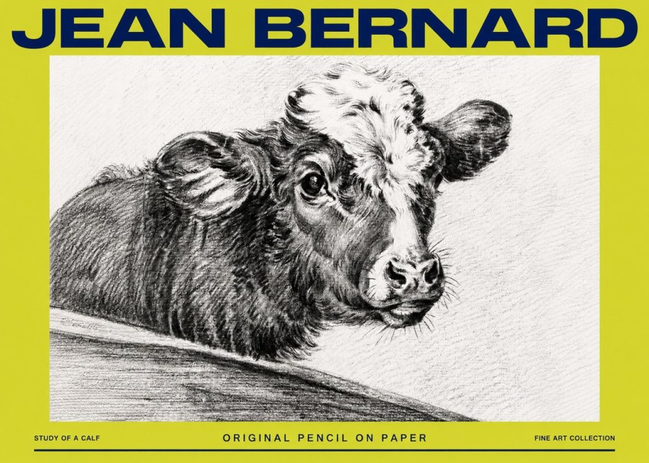Jean Bernard Study of a Calf II No4 - Juliste