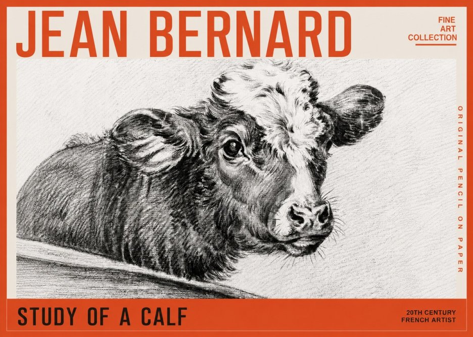 Jean Bernard Study of a Calf II No5 - Juliste