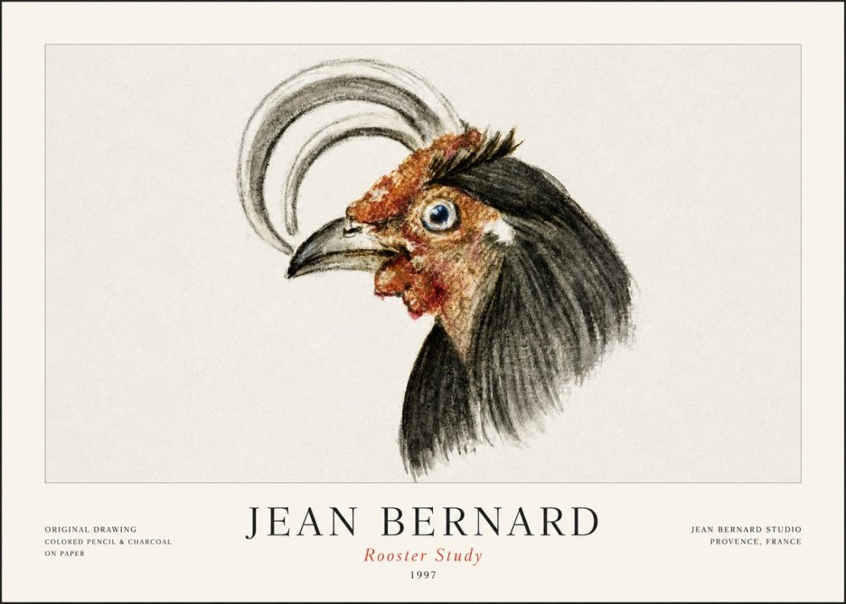 Jean Bernard Rooster Study No1 - Juliste
