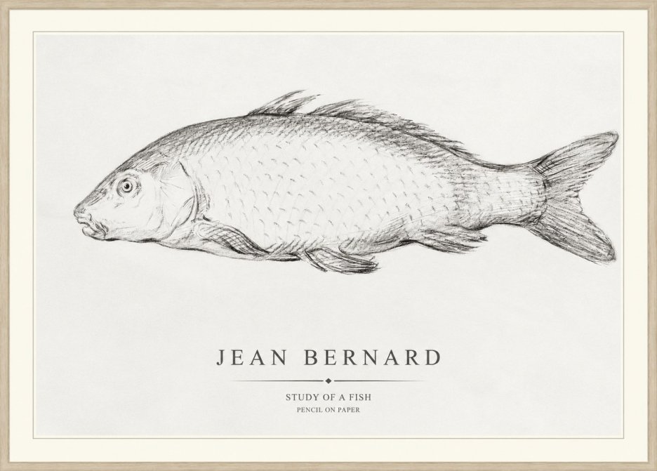 Jean Bernard Study of a Fish III No1 - Juliste