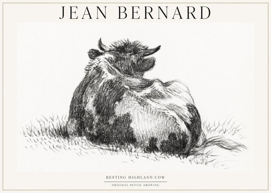Jean Bernard Resting Highland Cow No1 - Juliste