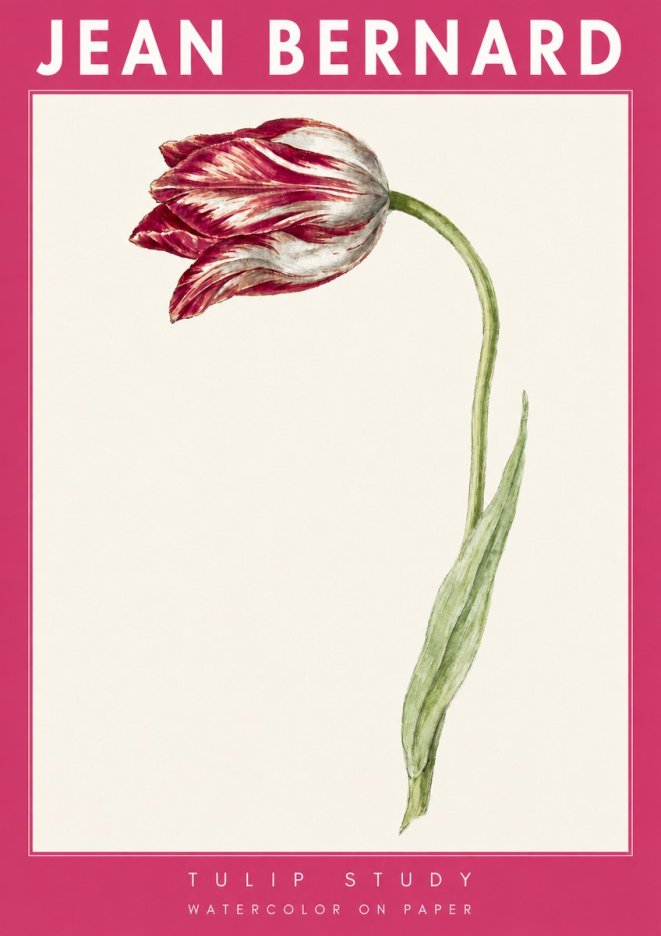 Jean Bernard Tulip Study No4 - Juliste