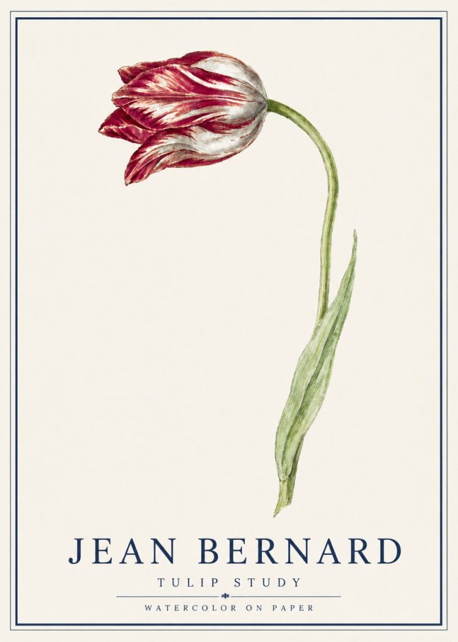 Jean Bernard Tulip Study No5 - Juliste