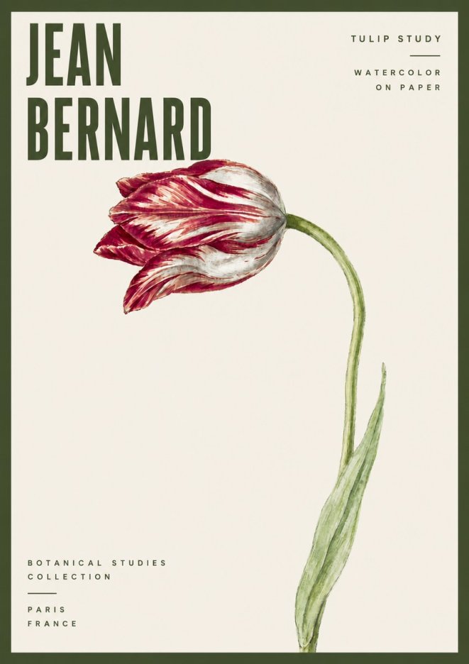 Jean Bernard Tulip Study No6 - Juliste