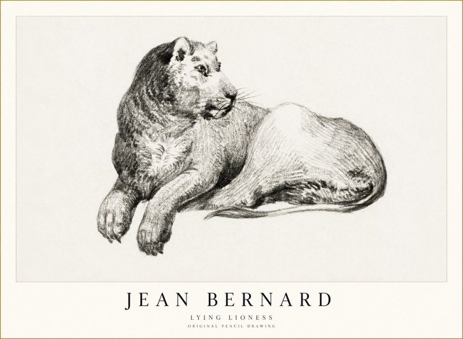 Jean Bernard Lying Lioness No1 - Juliste