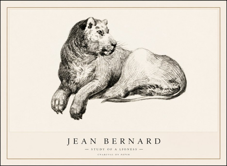 Jean Bernard Lying Lioness No2 - Juliste