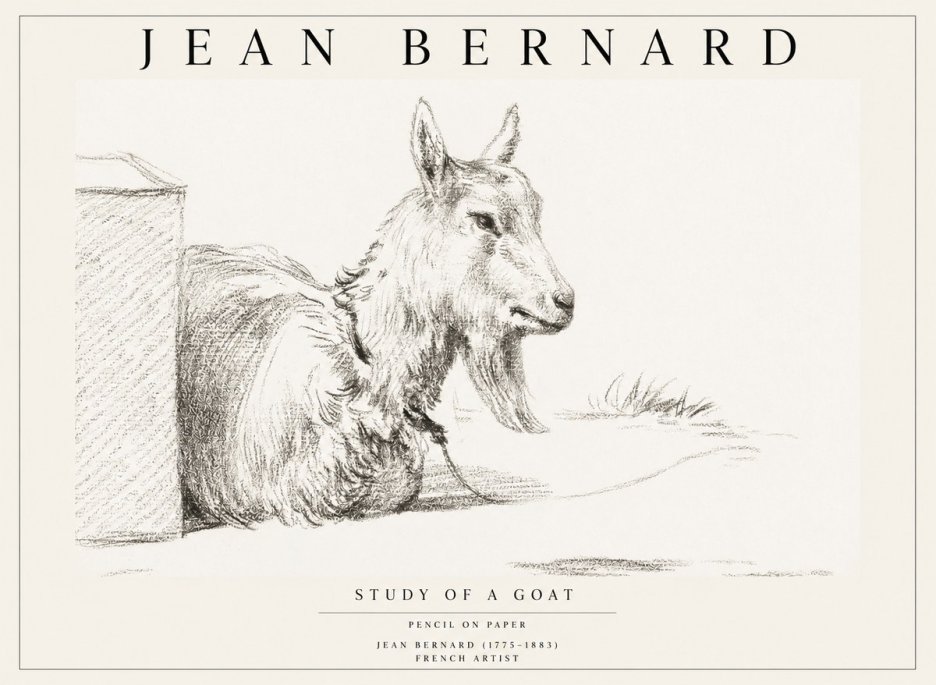 Jean Bernard Study of a Goat IV No1 - Juliste