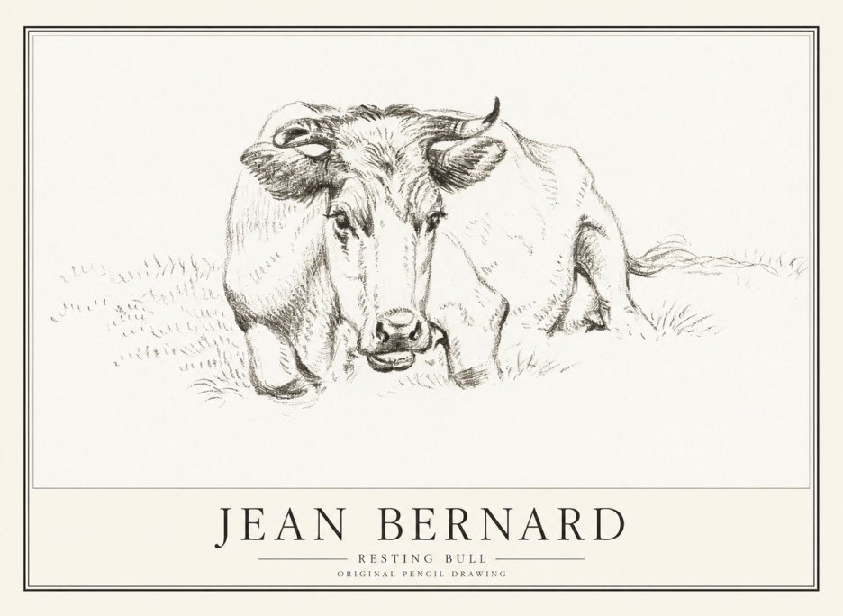 Jean Bernard Resting Cow II No4 - Juliste