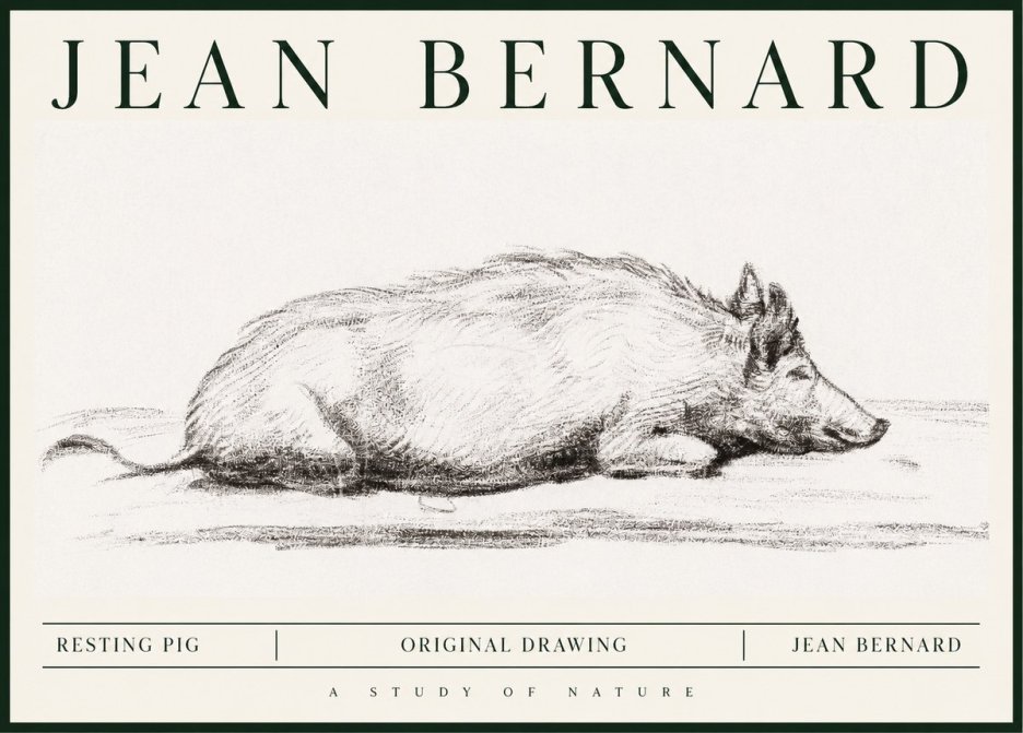 Jean Bernard Resting Pig I No1 - Juliste