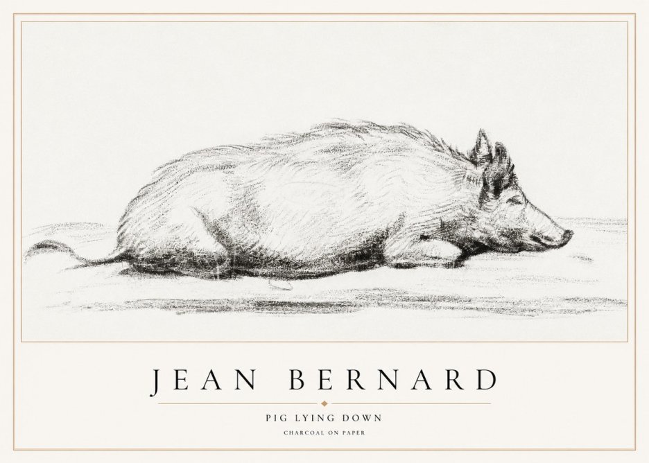 Jean Bernard Resting Pig I No2 - Juliste