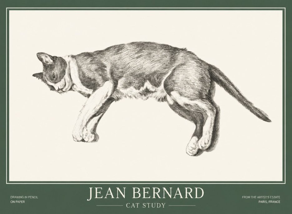 Jean Bernard Cat Study VII No1 - Juliste
