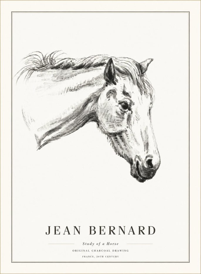 Jean Bernard Study of a Horse VIII No5 - Juliste
