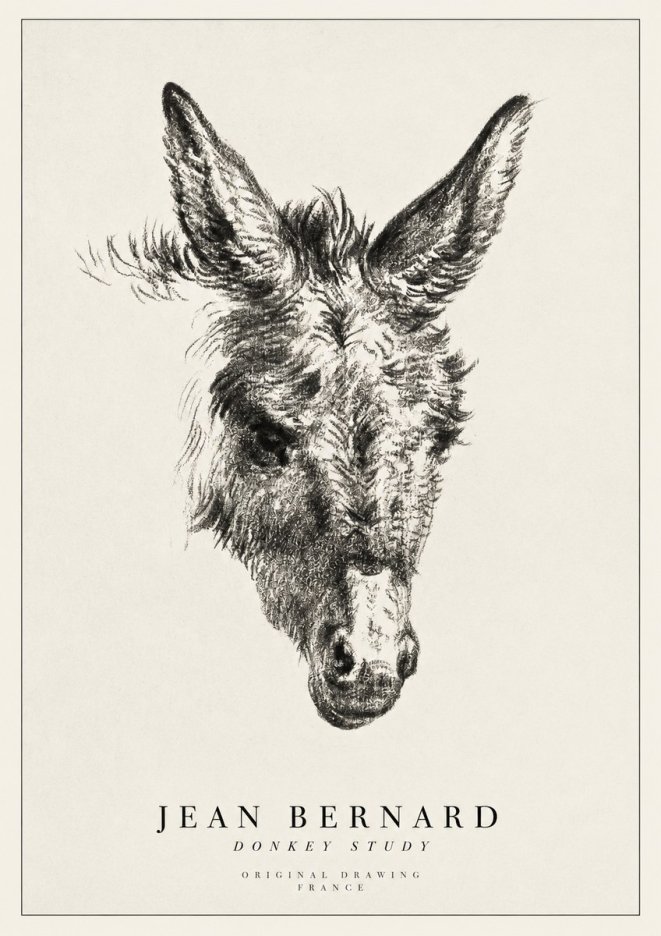 Jean Bernard Donkey Study IV No1 - Juliste