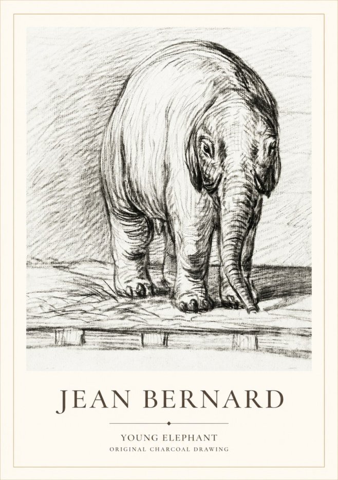 Jean Bernard Young Elephant No1 - Juliste