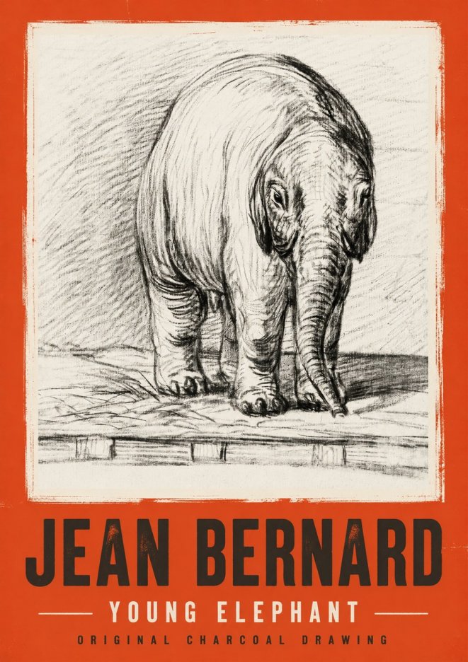 Jean Bernard Young Elephant No2 - Juliste