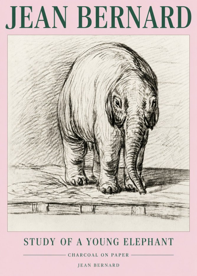 Jean Bernard Young Elephant No5 - Juliste