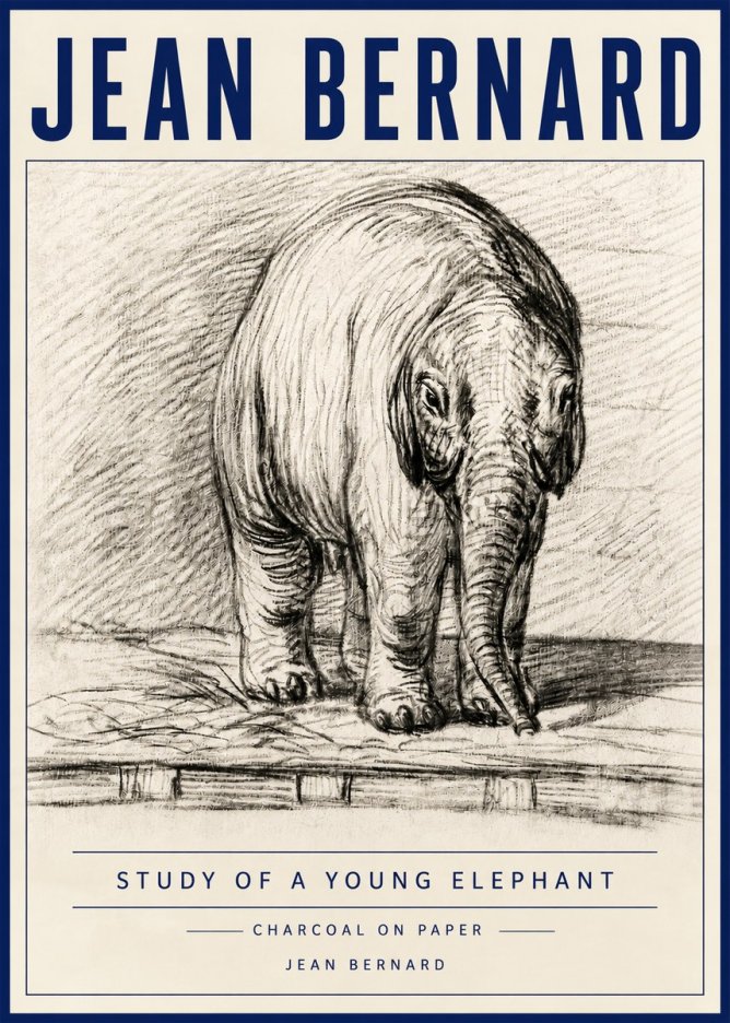 Jean Bernard Young Elephant No6 - Juliste