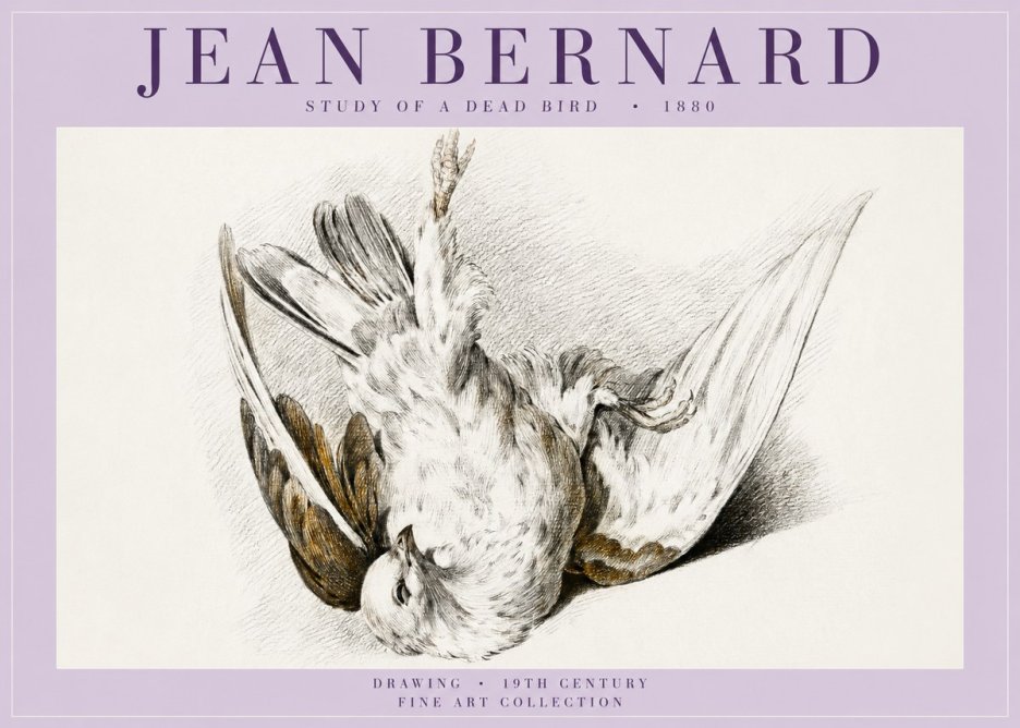 Jean Bernard Study of a Dead Bird No5 - Juliste