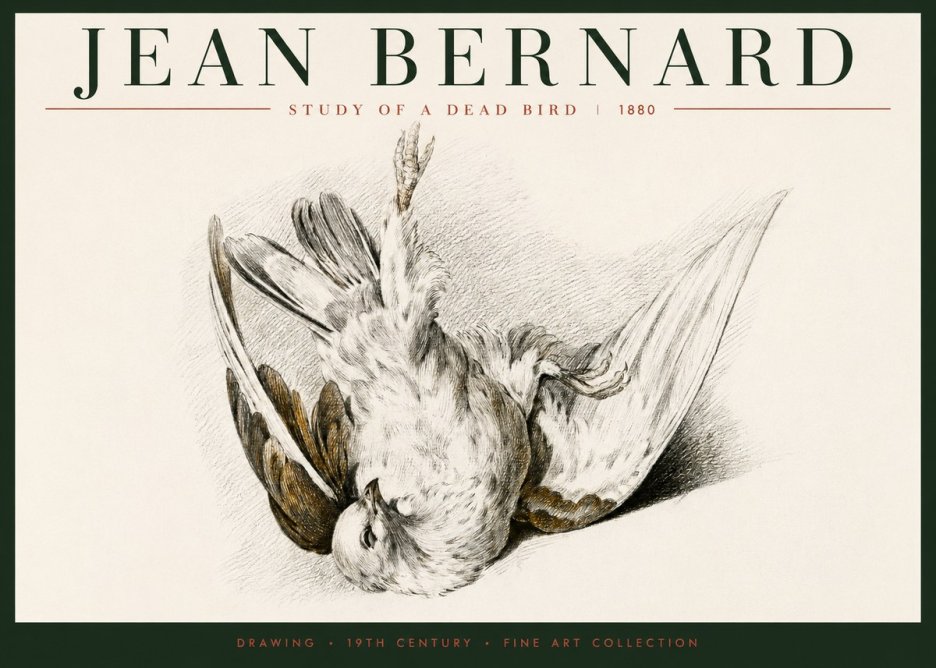 Jean Bernard Study of a Dead Bird No6 - Juliste