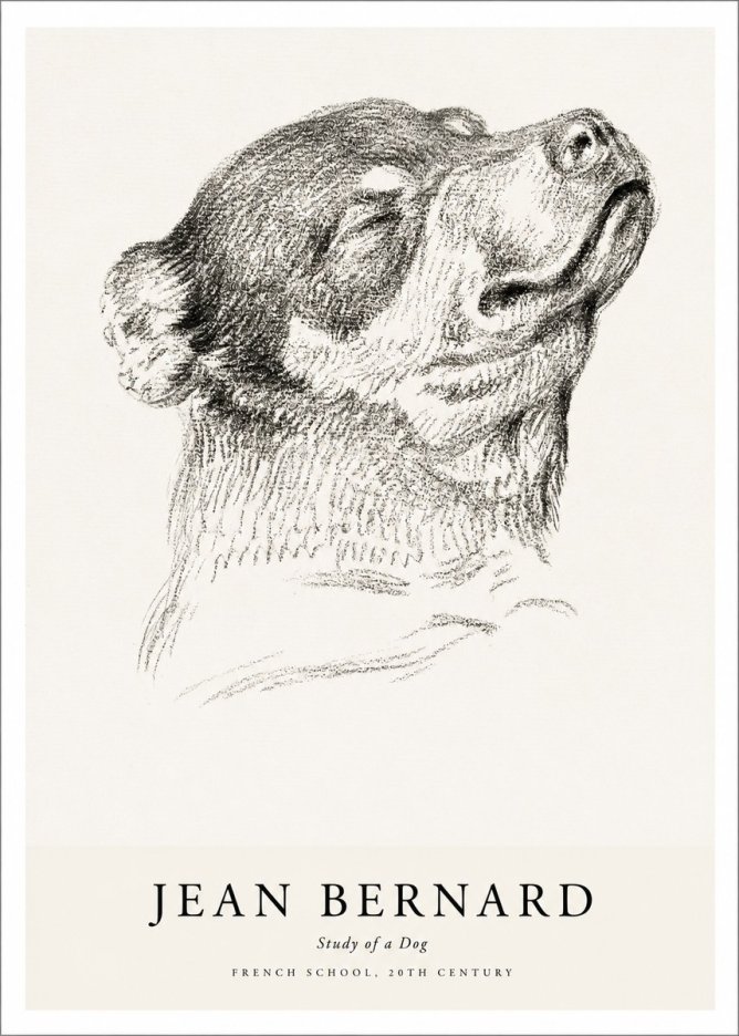 Jean Bernard Study of a Dog III No1 - Juliste